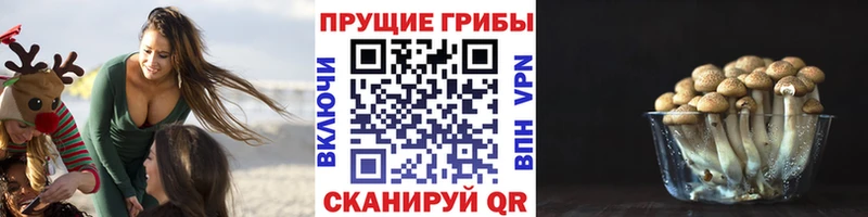 сайты даркнета телеграм  Щигры  Галлюциногенные грибы MAGIC MUSHROOMS 